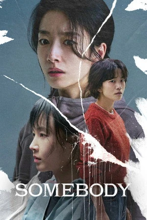 Somebody 2025 - Korean Dual Audio WEB-DL | Dubbed Hindi Movie